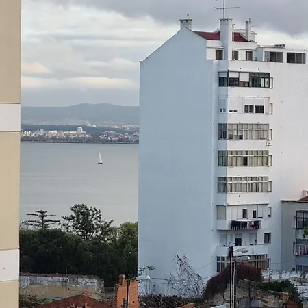 Homestay Co-living Braamcamp Freire 2 *